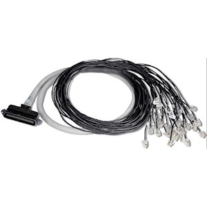 Cable 64pin FEMALE Telco to 32 unterminated TP, 6FT