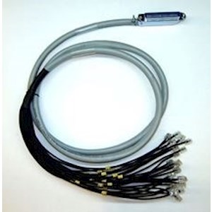 6 FT Cable (RJ21-50 PIN TELCO-to-24 RJ45)
