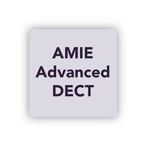 AMIE Advanced for DECT - Single 400 base Server (1JR)