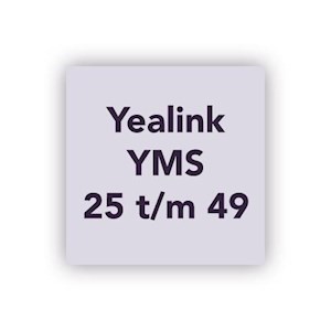 Yealink Meeting server (25 t/m 49 H.323 SIP registraties)